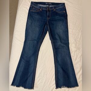 Torrid Source of Wisdom Blue Jeans | Flare Leg | Stretchy